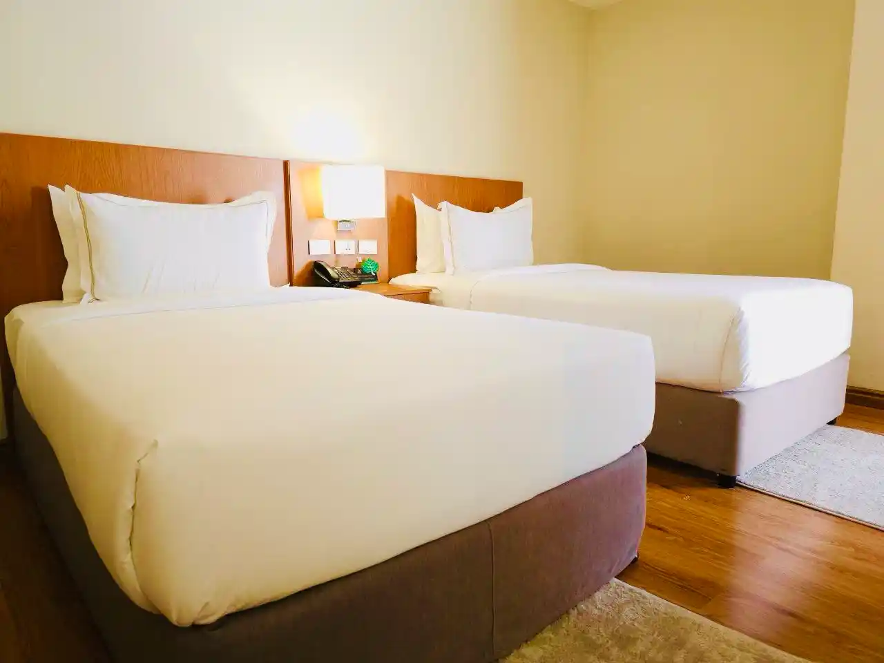 Executive Family Suite